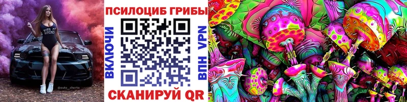 Галлюциногенные грибы Cubensis Константиновск